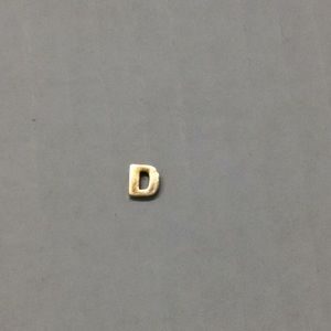 Alex and Ani letter D slider charm